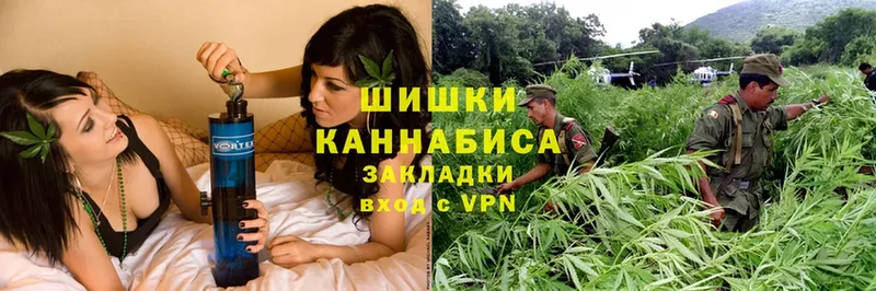 Каннабис планчик  продажа наркотиков  Кяхта 